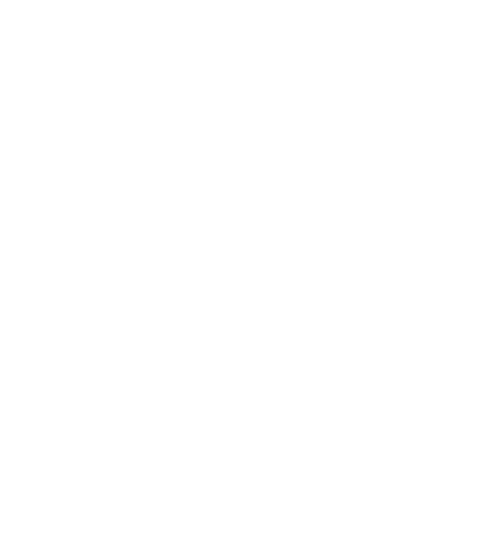 Freelance Developer